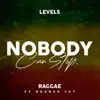 Levels (Chillspot) - Nobody Can Stop Raggae - Single